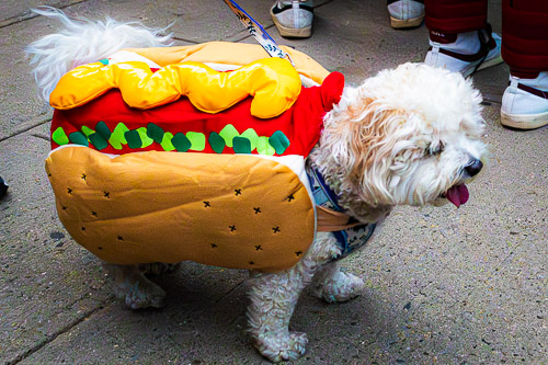 Tarrytown, NY - Oct 2025